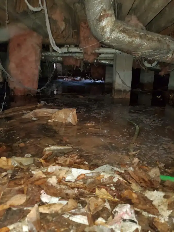 Crawl space flood assessment for Leak Detection & Repair in Glen Allen